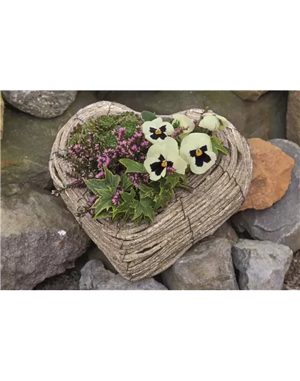 DAS GRAB IM HERBST! DAS GRAB IM HERBST!