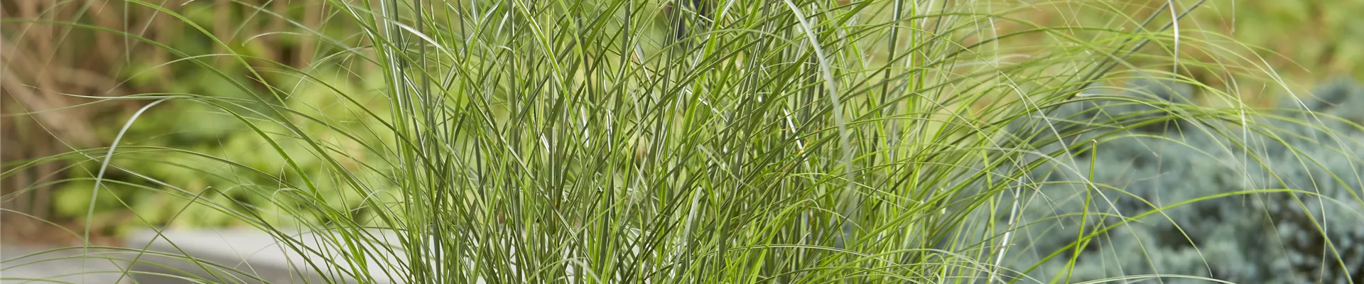 DER HERBST STEHT VOR DER TÜR!