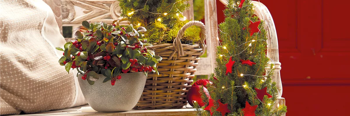 WINTERLICHE GESCHENKIDEEN! 