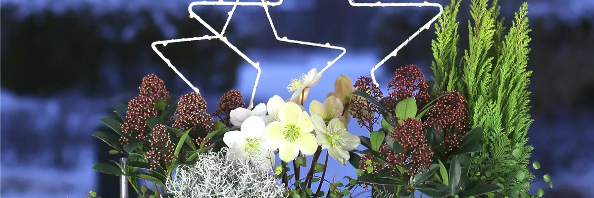 ES WEIHNACHTET AUF BALKON & TERRASSE!
