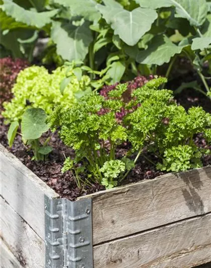 DAS DIY-HOCHBEET! DAS DIY-HOCHBEET!