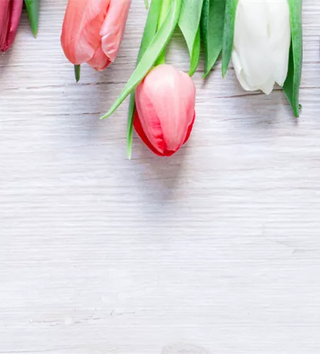 BLUMIGER VALENTINSTAG!