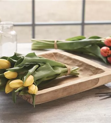 Bundware Tulpen gefüllt 10erFarmHaus, 10 Stiele/Bund sortenrein, Tulpe 32e