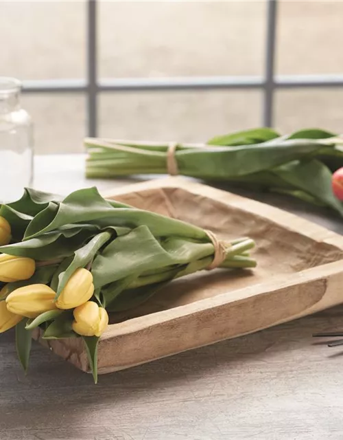 Bundware Tulpen gefüllt 10erFarmHaus, 10 Stiele/Bund sortenrein, Tulpe 32e