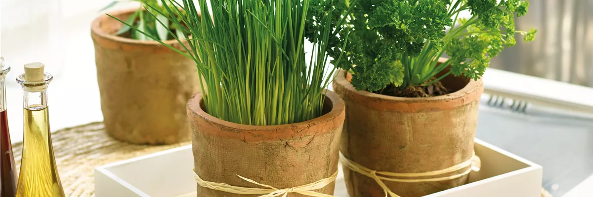 MIT VIEL GESCHMACK UND RAFFINESSE! 