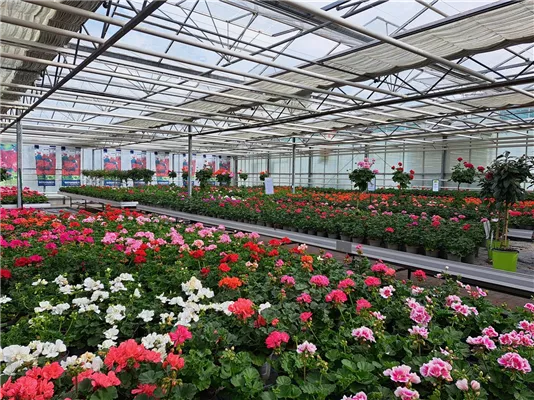 Tag der offenen Gärtnerei