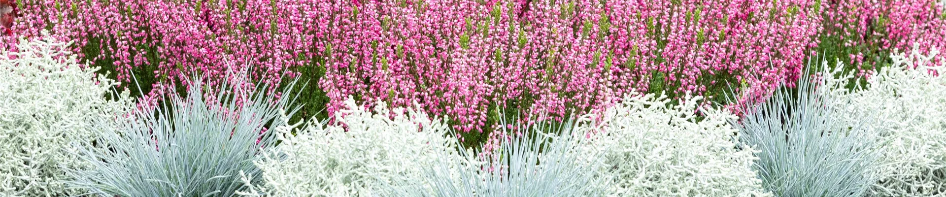 ZEIT DER ERINNERUNG!