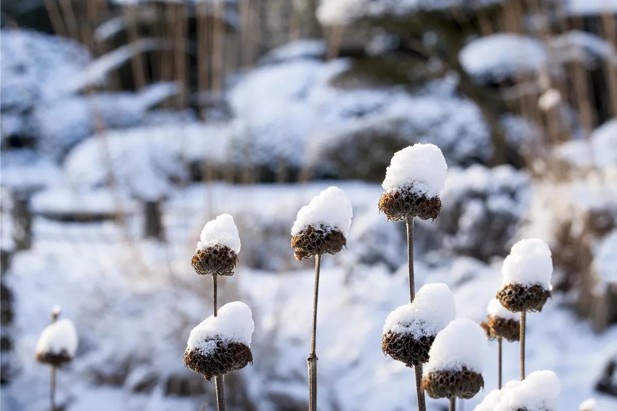 Unsere - Winteröffnungszeiten