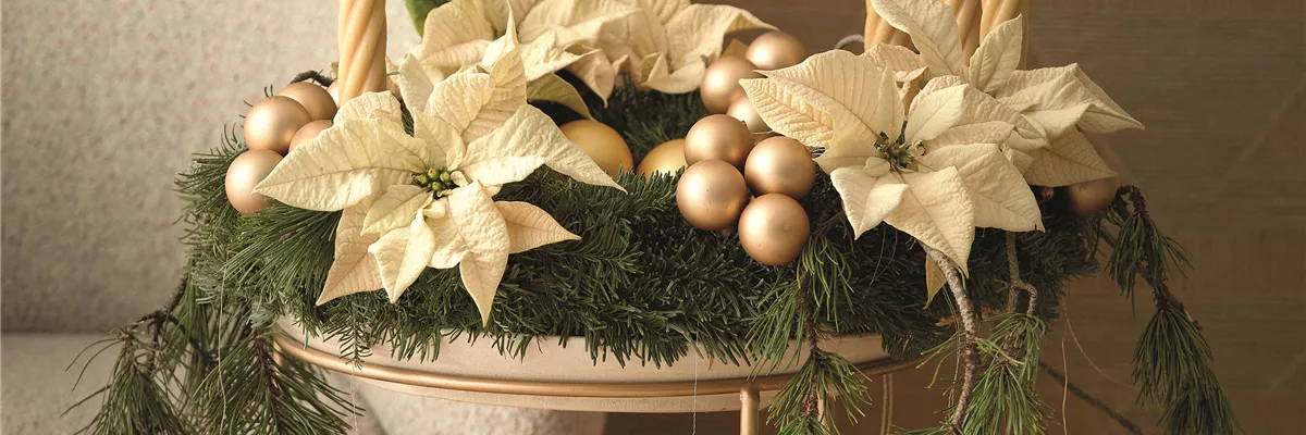 WILLKOMMEN IM FESTZAUBER!