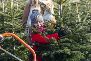 Weihnachtsbaumverkauf 
