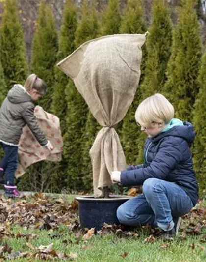 WIE GEHT...WINTERSCHUTZ?