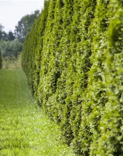 AUSGEHECKT! AUSGEHECKT!